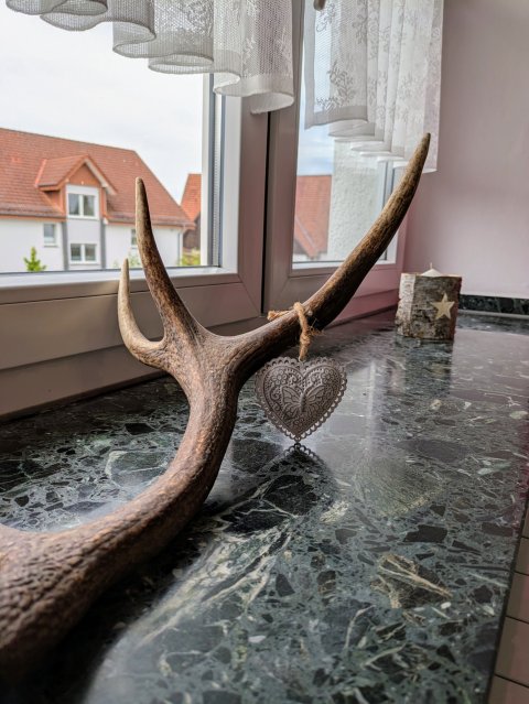 wohnzimmer_04.jpg